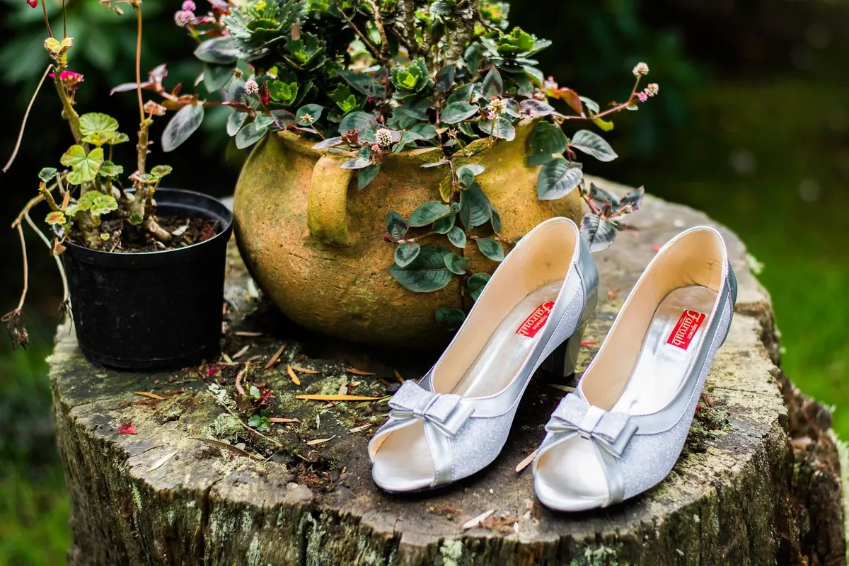 Zapatos plateados de novia sobre un tronco en el jardín