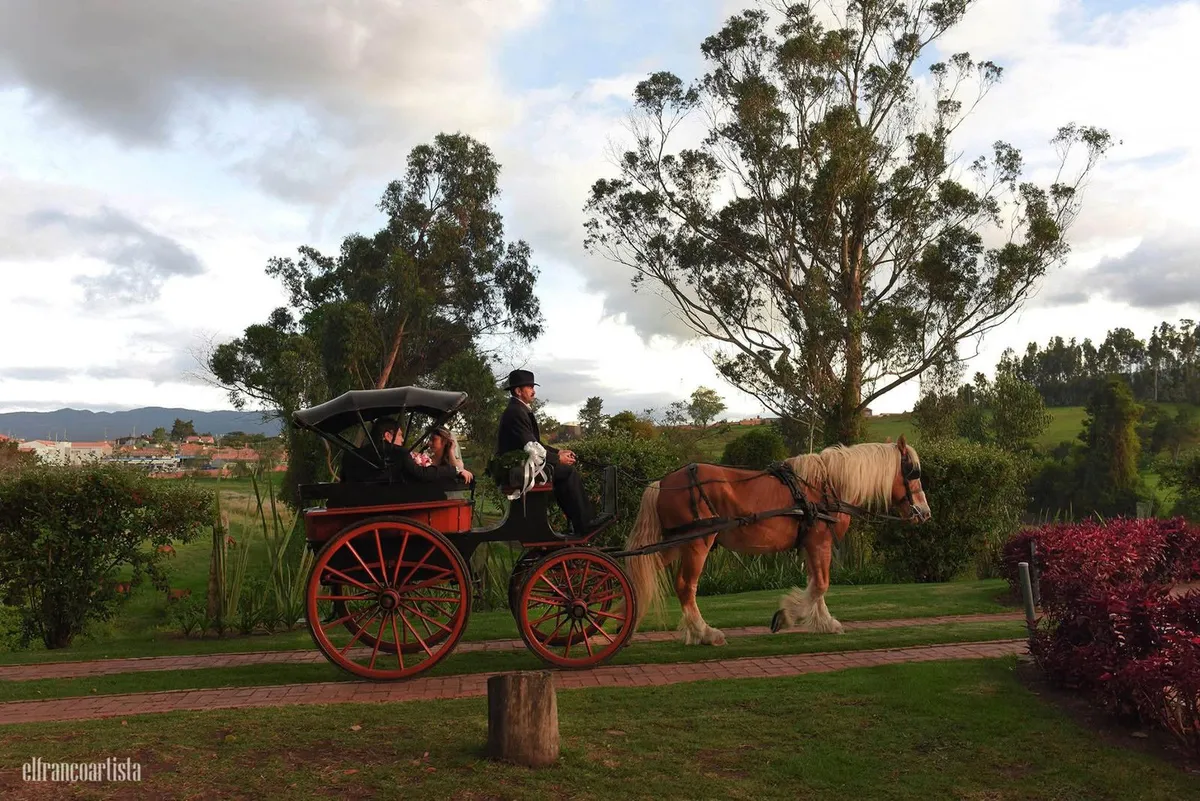 Carroza vintage tirada por caballos en una finca de eventos