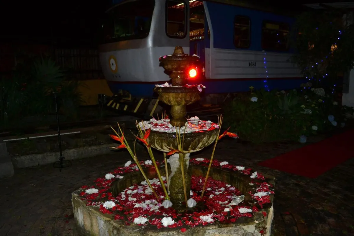 Fuente decorada con pétalos de flores iluminada de noche